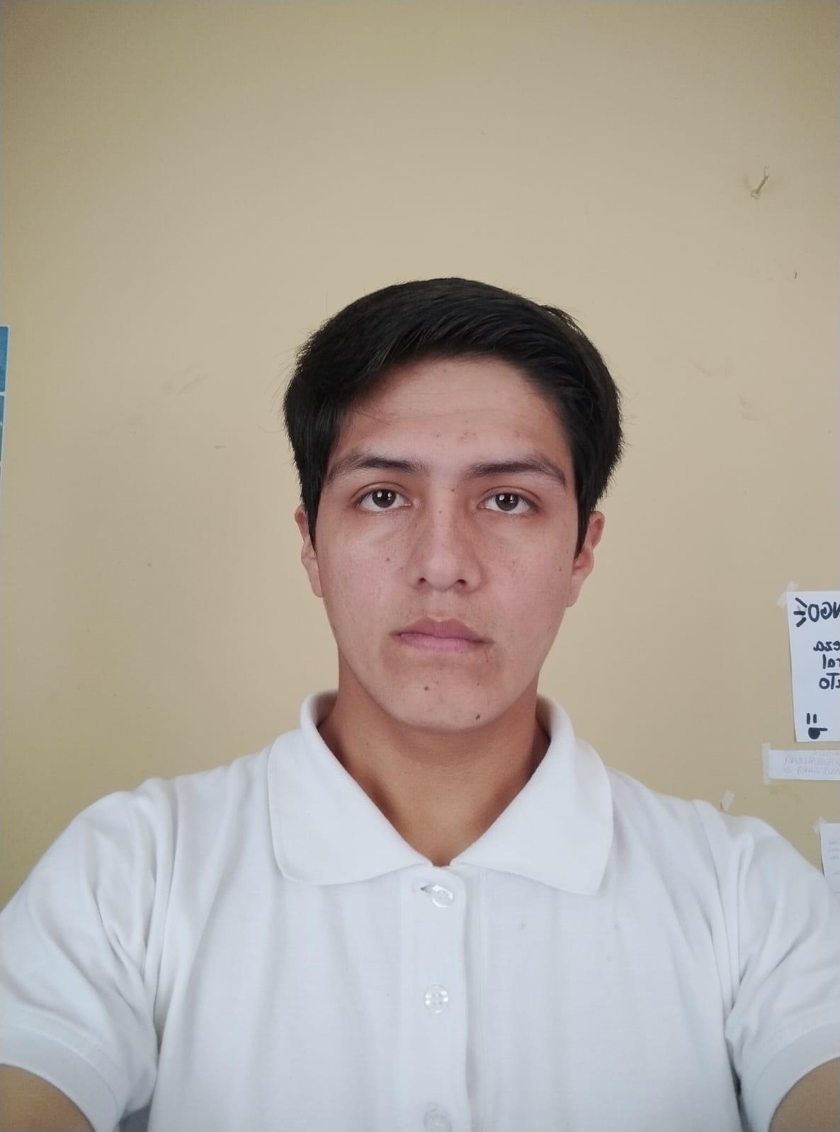 imagen de delegado